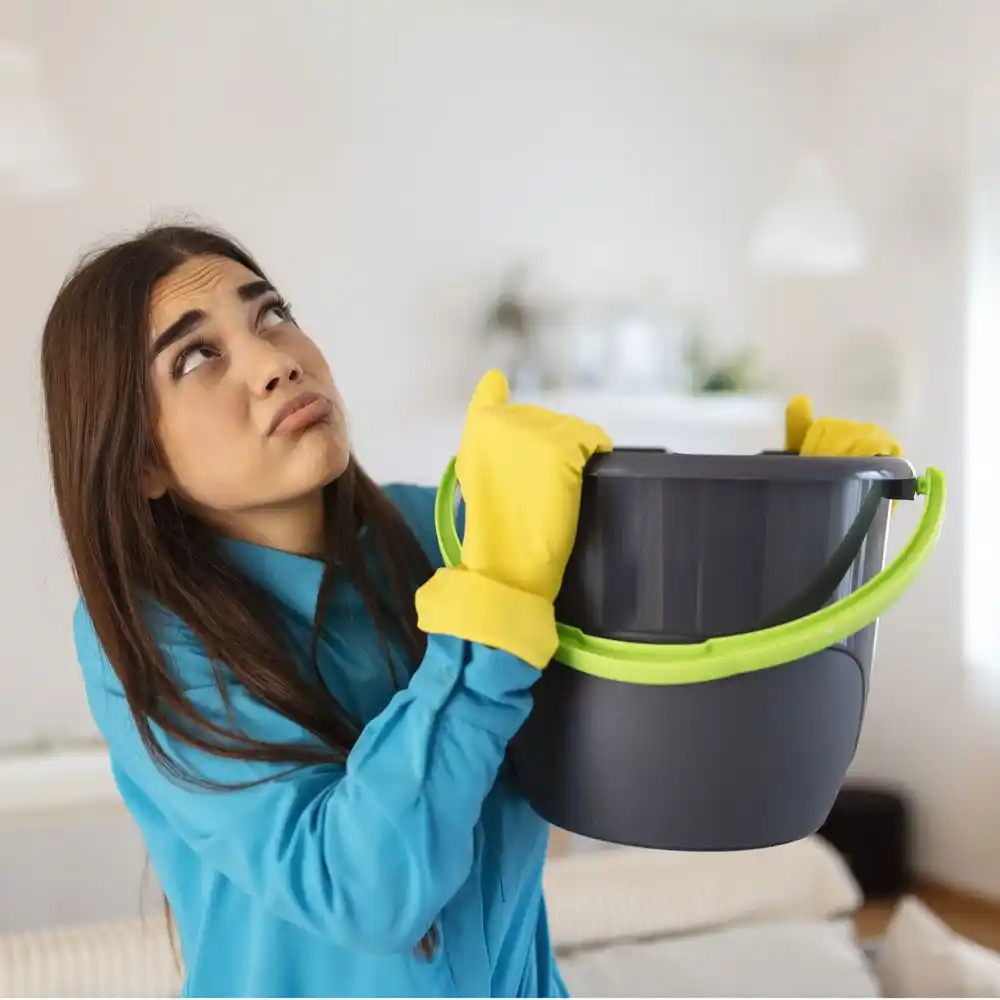 water damage restoration service St. Bernard
